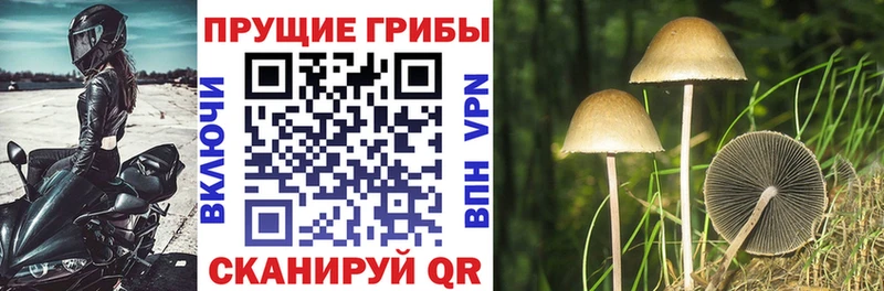 Галлюциногенные грибы Magic Shrooms darknet формула Абаза