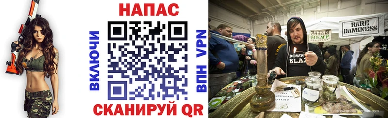 Бошки Шишки OG Kush Абаза